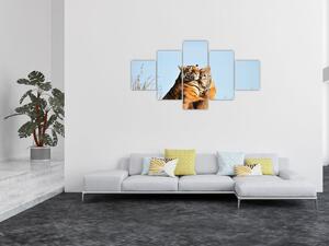 Obraz - Tygřice a její mládě (125x70 cm)