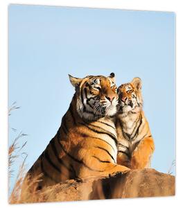 Obraz - Tygřice a její mládě (30x30 cm)