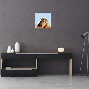 Obraz - Tygřice a její mládě (30x30 cm)