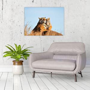 Obraz - Tygřice a její mládě (70x50 cm)