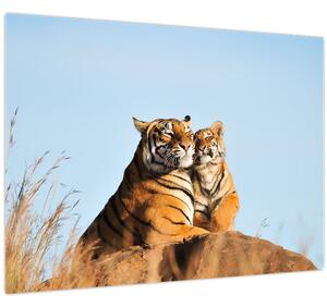 Obraz - Tygřice a její mládě (70x50 cm)