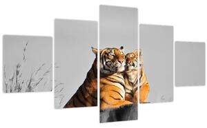 Obraz - Tygřice a její mládě, černobílá varianta (125x70 cm)