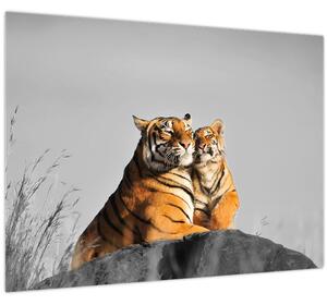 Obraz - Tygřice a její mládě, černobílá varianta (70x50 cm)