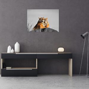 Obraz - Tygřice a její mládě, černobílá varianta (70x50 cm)