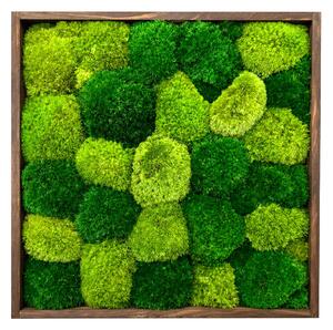 Mechový obraz čtverec - kopečky Velikost rámu: 20x20cm