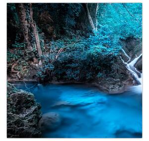 Obraz - Magická noc v tropickém lese (30x30 cm)