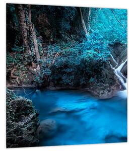 Obraz - Magická noc v tropickém lese (30x30 cm)
