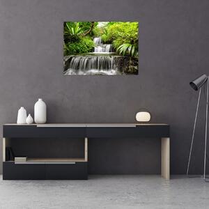 Obraz - Vodopád v deštném lese (70x50 cm)