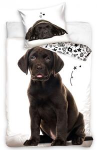 Bavlněné povlečení Štěňátko Hnědý Labrador 140x200 / 70x90 cm