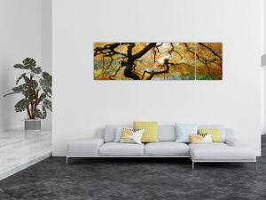 Obraz žlutého japonského javoru, Portland, Oregon (170x50 cm)