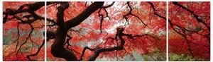 Obraz červeného japonského javoru, Portland, Oregon (170x50 cm)