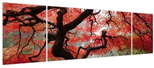Obraz červeného japonského javoru, Portland, Oregon (170x50 cm)