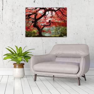 Obraz červeného japonského javoru, Portland, Oregon (70x50 cm)