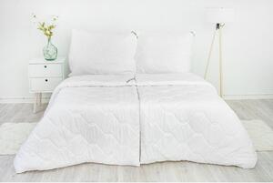 Luxusní celoroční přikrývka Aloe vera 200x240 cm