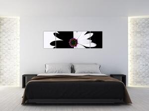 Obraz černobílého květu (170x50 cm)