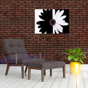 Obraz černobílého květu (70x50 cm)