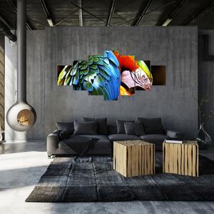 Obraz - Papoušek (210x100 cm)
