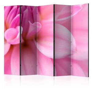 Paraván - Flower petals - dahlia [Room Dividers]