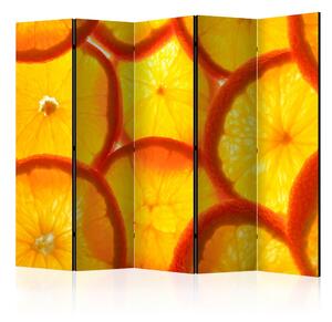 Paraván - Orange slices [Room Dividers]