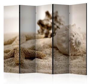 Paraván - Beach and shell [Room Dividers]