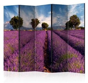 Paraván - Lavender field in Provence, France [Room Dividers]