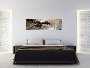 Obraz - Stádo pakoňů (170x50 cm)