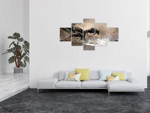 Obraz - Stádo pakoňů (125x70 cm)