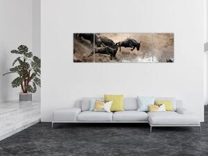 Obraz - Stádo pakoňů (170x50 cm)