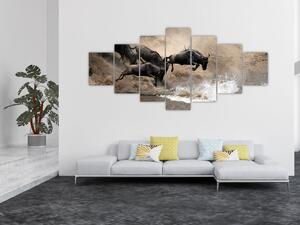 Obraz - Stádo pakoňů (210x100 cm)