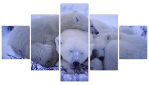 Obraz - Lední medvídci (125x70 cm)