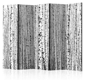Paraván - Birch forest [Room Dividers]