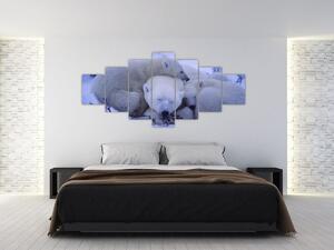 Obraz - Lední medvídci (210x100 cm)