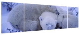 Obraz - Lední medvídci (170x50 cm)