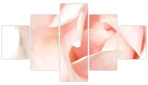 Obraz - Růže (125x70 cm)
