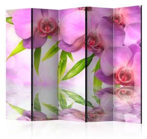Paraván - Orchid Spa II [Room Dividers]