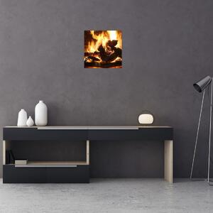 Obraz - Oheň (30x30 cm)