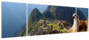 Obraz - Lama a Machu Picchu (170x50 cm)