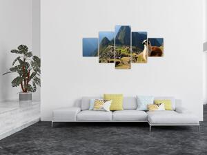 Obraz - Lama a Machu Picchu (125x70 cm)