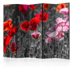 Paraván - Red Poppies II [Room Dividers]
