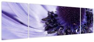 Obraz - Fialový květ (170x50 cm)