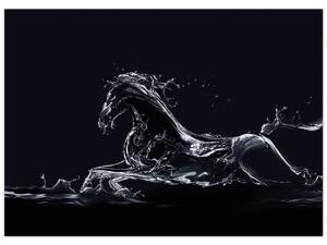 Obraz - Kůň a voda (70x50 cm)