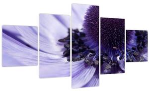 Obraz - Fialový květ (125x70 cm)