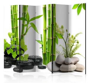 Paraván - Bamboos and Stones II [Room Dividers]