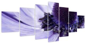 Obraz - Fialový květ (210x100 cm)