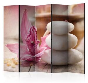 Paraván - Aromatherapy II [Room Dividers]