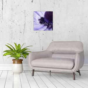 Obraz - Fialový květ (30x30 cm)