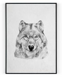 Plakát / Obraz Vlk A4 - 21 x 29,7 cm Pololesklý saténový papír
