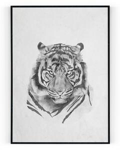 Plakát / Obraz Tygr A4 - 21 x 29,7 cm Tiskové plátno