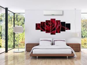 Obraz - Rudá růže (210x100 cm)