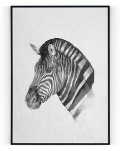 Plakát / Obraz Zebra 30 x 40 cm Pololesklý saténový papír